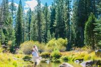 The Lake Tahoe Wedding Photographer image 4